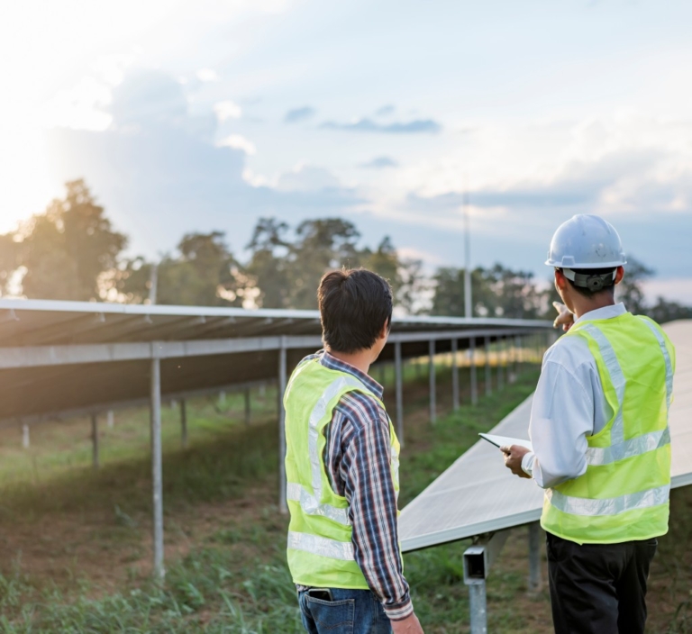 gestao-e-acompanhamento